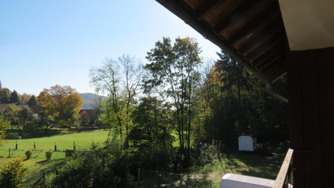 Fewo Mit Balkon Direkt Am Wald Und Wanderweg Ruhe Pur 2 Og Bad Sachsa Bagian luar foto
